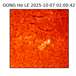 gong - 2025-10-07T02:00:42