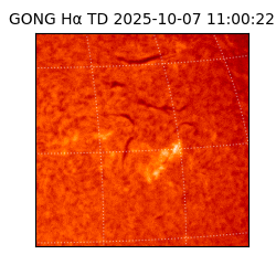 gong - 2025-10-07T11:00:22