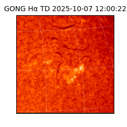 gong - 2025-10-07T12:00:22
