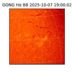 gong - 2025-10-07T19:00:02