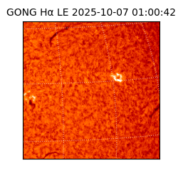 gong - 2025-10-07T01:00:42