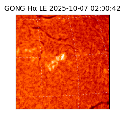 gong - 2025-10-07T02:00:42