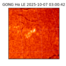 gong - 2025-10-07T03:00:42