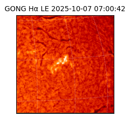 gong - 2025-10-07T07:00:42