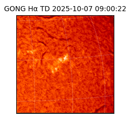 gong - 2025-10-07T09:00:22