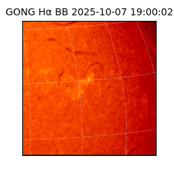 gong - 2025-10-07T19:00:02