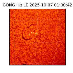 gong - 2025-10-07T01:00:42