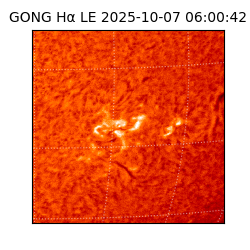 gong - 2025-10-07T06:00:42