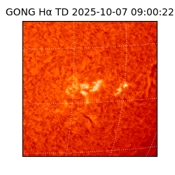gong - 2025-10-07T09:00:22
