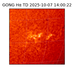 gong - 2025-10-07T14:00:22