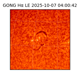 gong - 2025-10-07T04:00:42