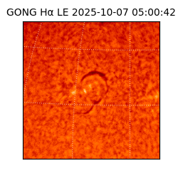 gong - 2025-10-07T05:00:42