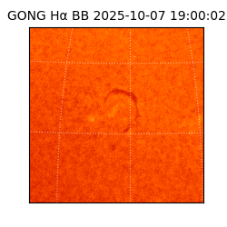gong - 2025-10-07T19:00:02