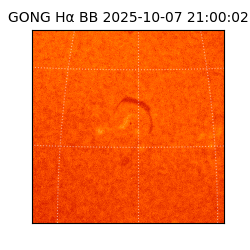 gong - 2025-10-07T21:00:02