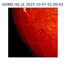 gong - 2025-10-07T01:00:42