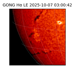 gong - 2025-10-07T03:00:42