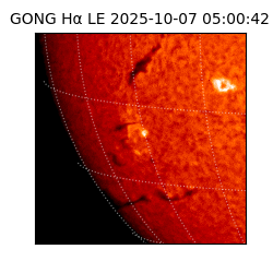 gong - 2025-10-07T05:00:42