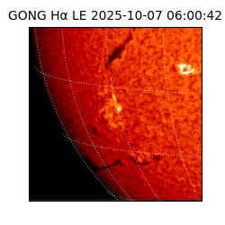 gong - 2025-10-07T06:00:42
