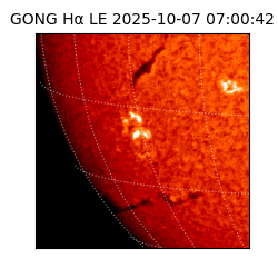 gong - 2025-10-07T07:00:42