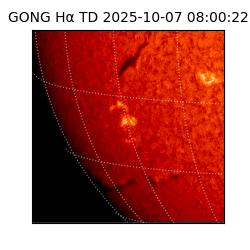 gong - 2025-10-07T08:00:22