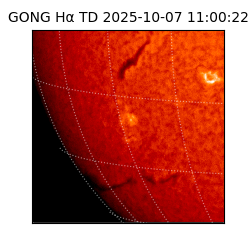 gong - 2025-10-07T11:00:22