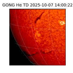 gong - 2025-10-07T14:00:22