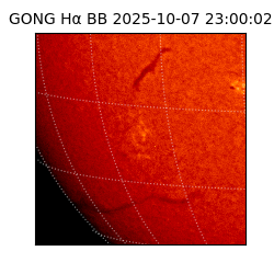 gong - 2025-10-07T23:00:02