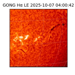 gong - 2025-10-07T04:00:42