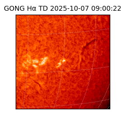 gong - 2025-10-07T09:00:22