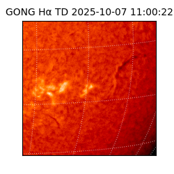 gong - 2025-10-07T11:00:22