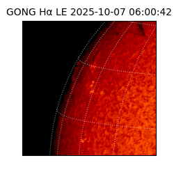 gong - 2025-10-07T06:00:42