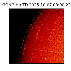 gong - 2025-10-07T09:00:22