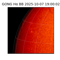 gong - 2025-10-07T19:00:02