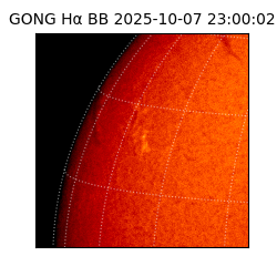 gong - 2025-10-07T23:00:02