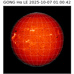 gong - 2025-10-07T01:00:42