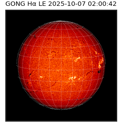 gong - 2025-10-07T02:00:42
