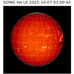 gong - 2025-10-07T03:00:42