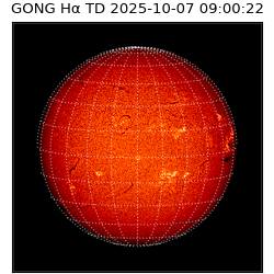 gong - 2025-10-07T09:00:22