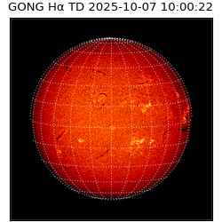 gong - 2025-10-07T10:00:22