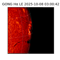 gong - 2025-10-08T03:00:42