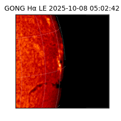 gong - 2025-10-08T05:02:42