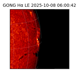 gong - 2025-10-08T06:00:42