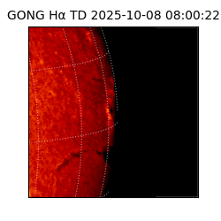 gong - 2025-10-08T08:00:22