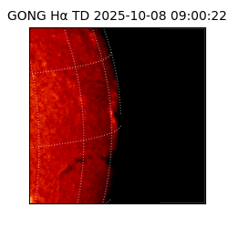 gong - 2025-10-08T09:00:22