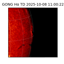 gong - 2025-10-08T11:00:22
