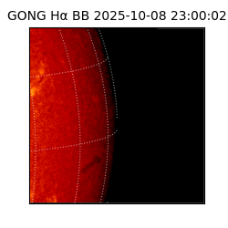 gong - 2025-10-08T23:00:02
