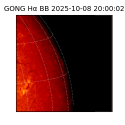 gong - 2025-10-08T20:00:02