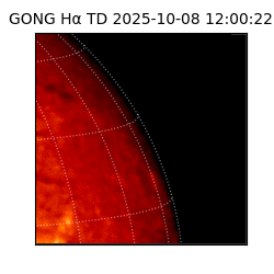 gong - 2025-10-08T12:00:22