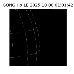 gong - 2025-10-08T01:01:42