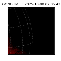 gong - 2025-10-08T02:05:42